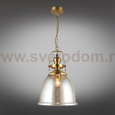 Светильник подвесной Darunia Aployt APL.629.16.01