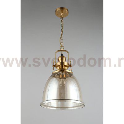 Светильник подвесной Darunia Aployt APL.629.16.01