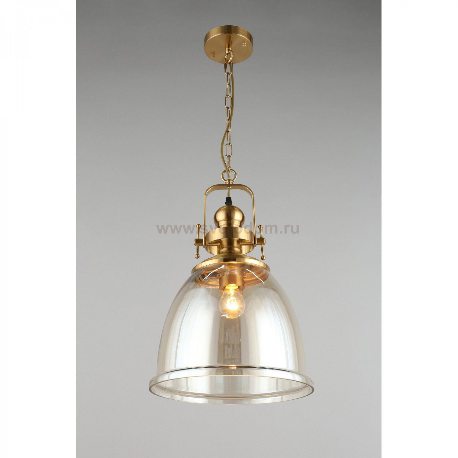 Светильник подвесной Darunia Aployt APL.629.16.01