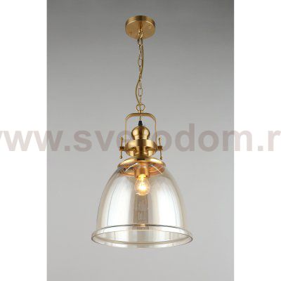 Светильник подвесной Darunia Aployt APL.629.16.01