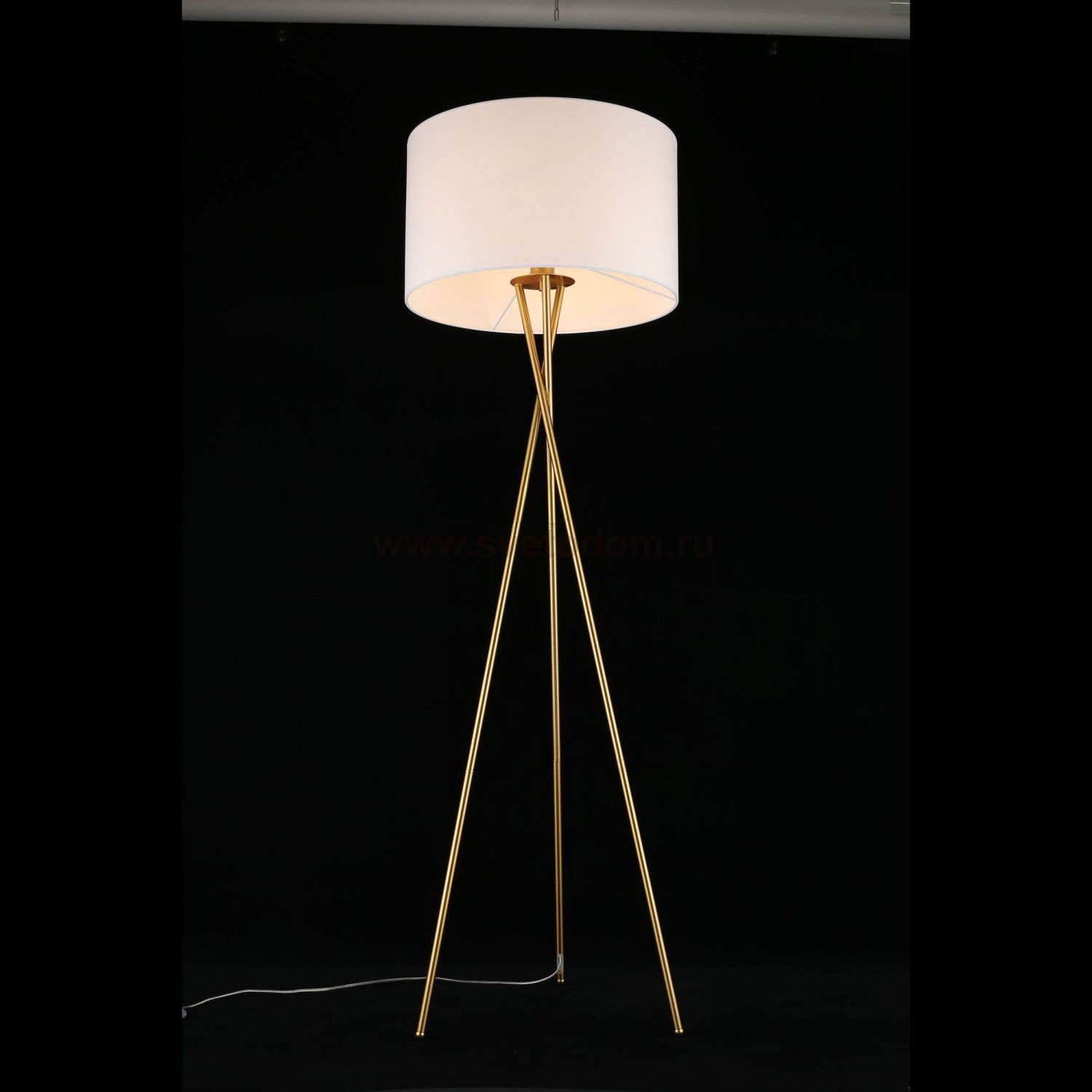 Торшер Anastasi Aployt APL.637.05.01