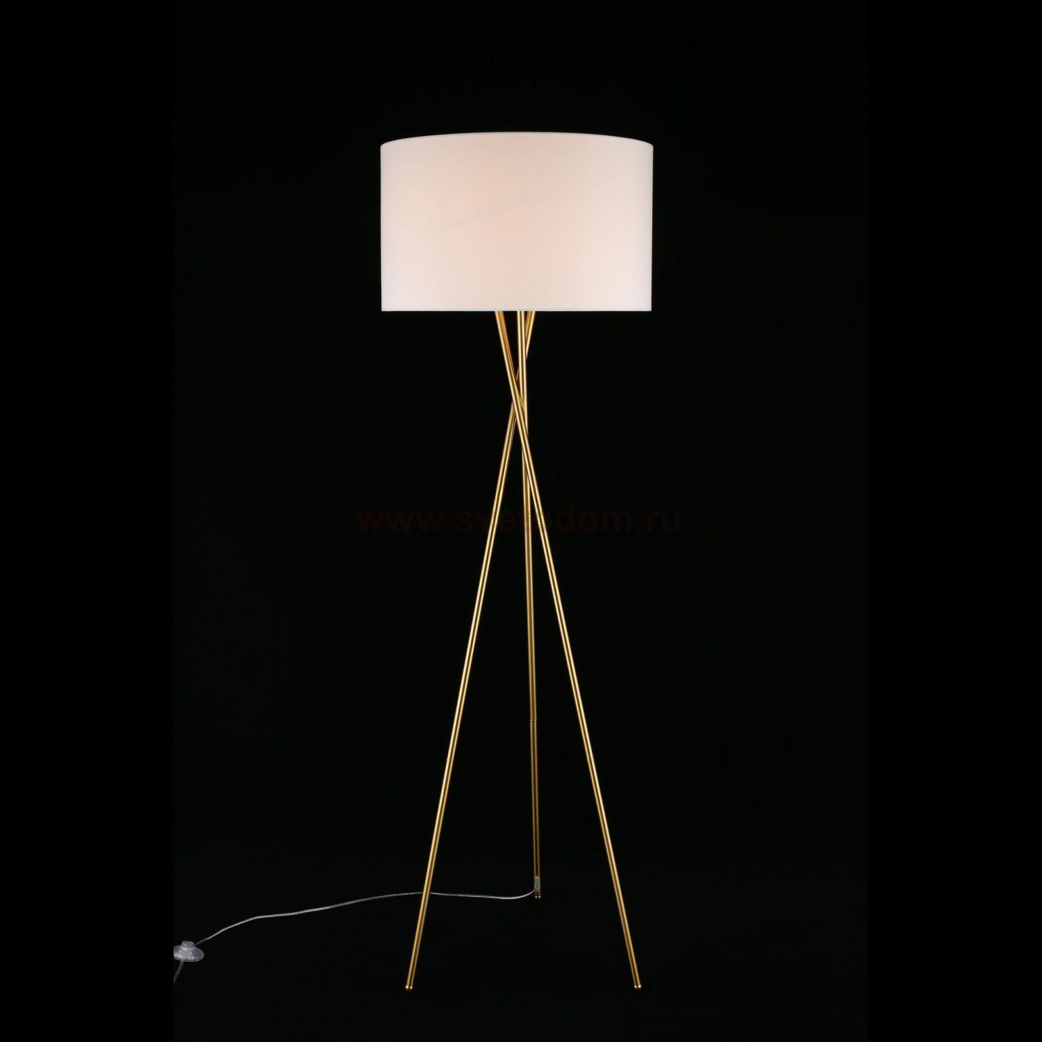 Торшер Anastasi Aployt APL.637.05.01