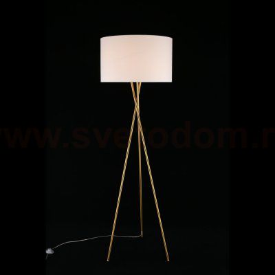 Торшер Anastasi Aployt APL.637.05.01