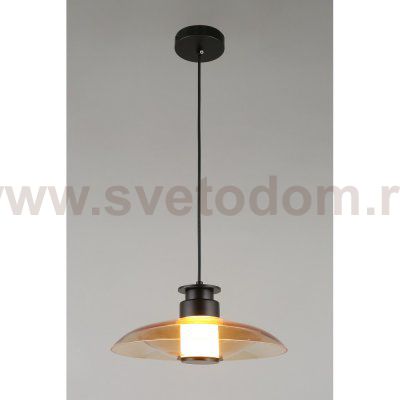 Светильник подвесной Stefa Aployt APL.648.16.10