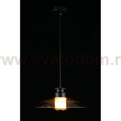 Светильник подвесной Stefa Aployt APL.648.16.10