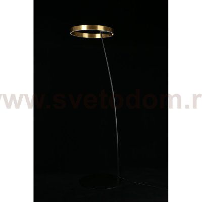 Торшер Leonn Aployt APL.653.05.30