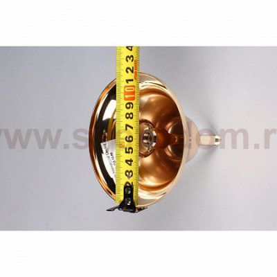 Люстра подвесная Aployt APL.715.13.06 Okin