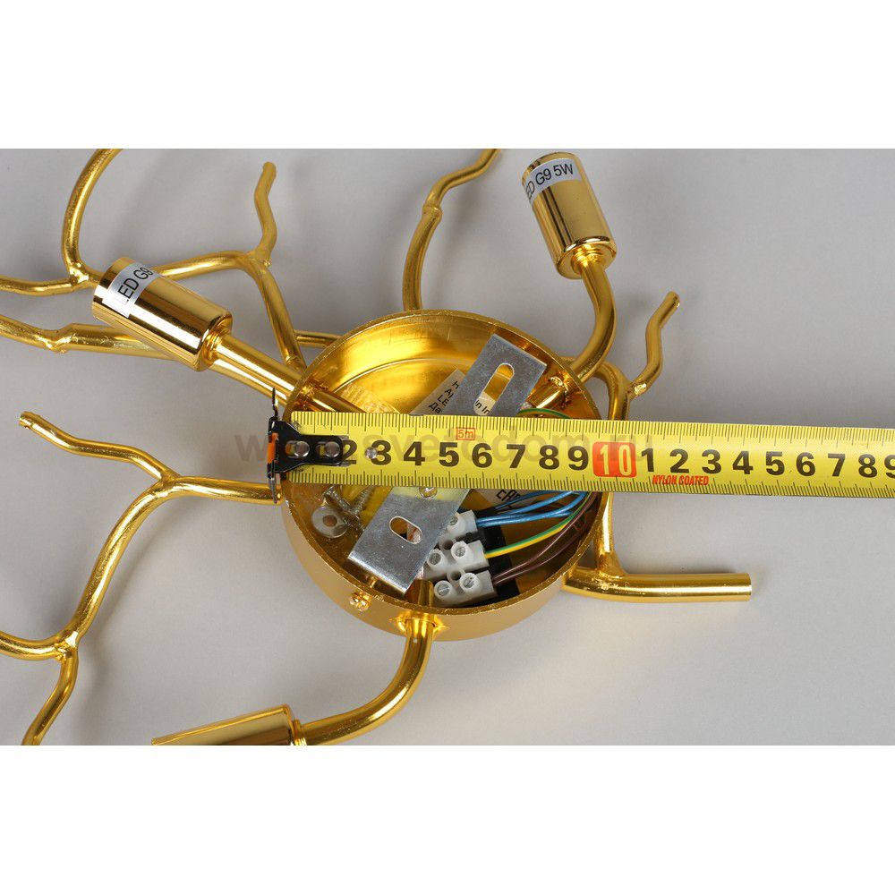 Бра настенное Viktorayn Aployt APL.844.01.03