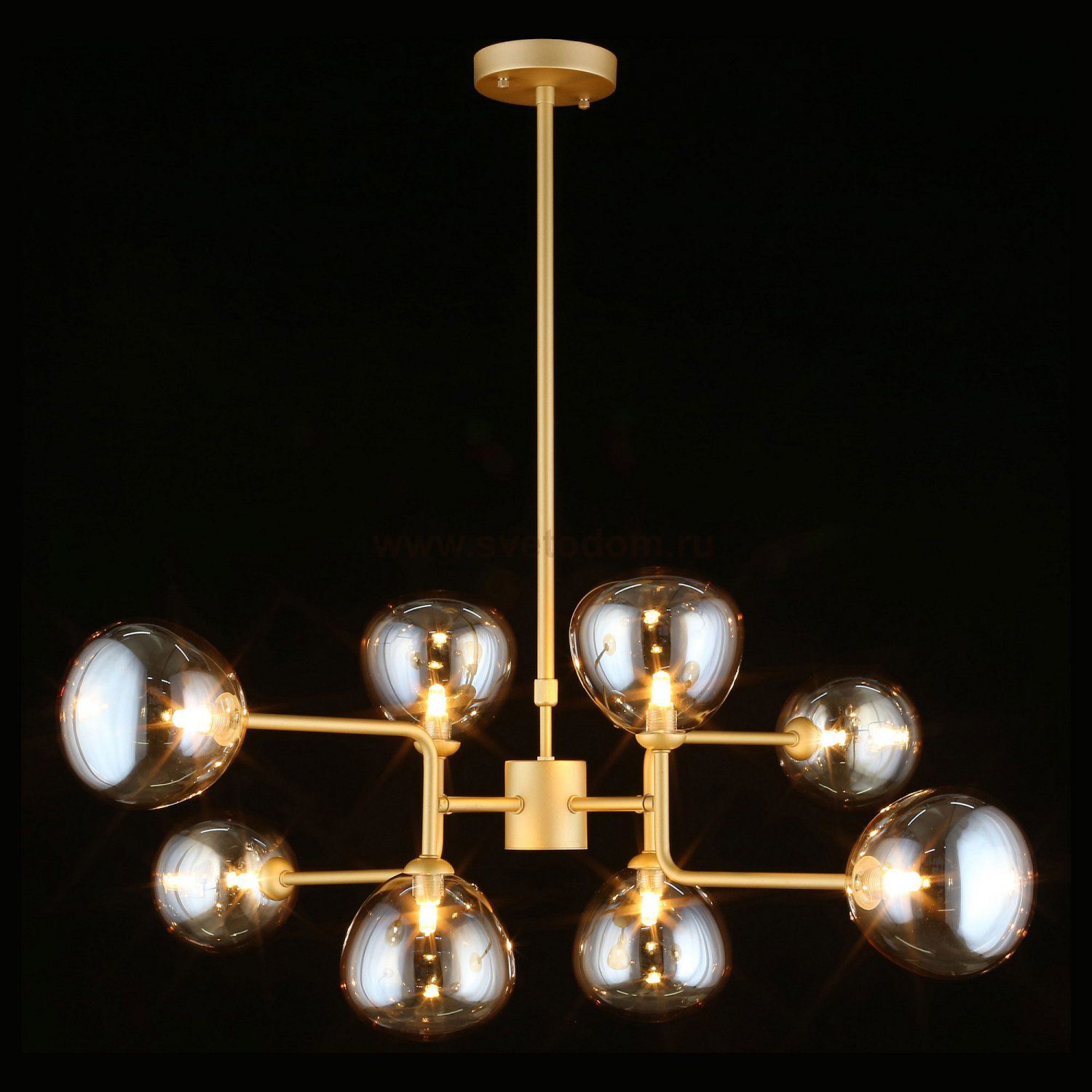 Люстра потолочная Roser Aployt APL.913.17.08