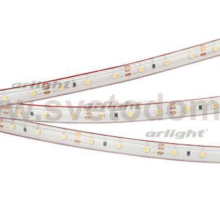 Лента RTW 2-5000P 12V White6000 (3528, 300 LED, LUX) Arlight 11502