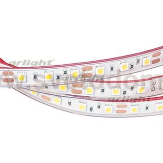 Лента RTW 2-5000P 12V White6000 2x (5060, 300 LED, LUX) Arlight 12388