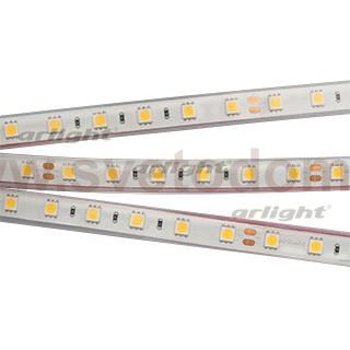 Лента RTW 2-5000PGS 24V Warm 2x (5060, 300 LED, LUX) Arlight 13400
