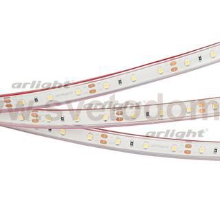 Лента RTW 2-5000PGS 12V Warm (3528, 300 LED, LUX) Arlight 13407