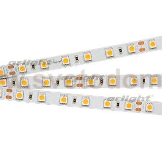 Лента RT 2-5000 24V Cool 8K 2x (5060, 300 LED, LUX) Arlight 013757(1)