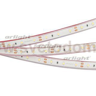 Лента RTW 2-5000PGS 12V Day (3528, 300 LED, LUX) Arlight 15446