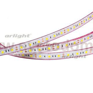 Лента RTW 2-5000PGS 12V Day 2x (5060, 300 LED, LUX) Arlight 15452