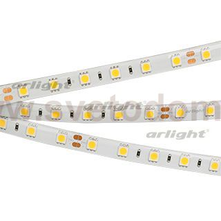 Лента RTW 2-5000SE 24V Day 2x (5060, 300 LED, LUX) Arlight 015455(B)