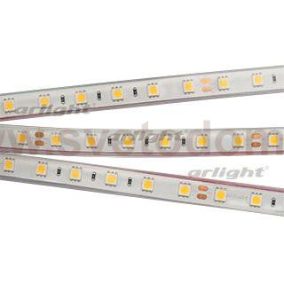 Лента RTW 2-5000PGS 24V Cool 2x (5060, 300 LED, LUX) Arlight 16846