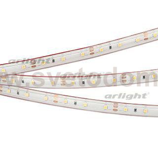 Лента RTW 2-5000PS 12V Warm3000 (3528, 300 LED, LUX) Arlight 21101