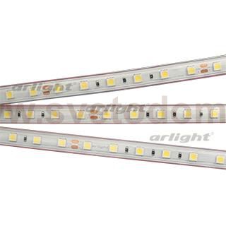 Лента RTW 2-5000PS 24V White6000 2x (5060, 300 LED, LUX) (Arlight, 14.4 Вт/м, IP67) Arlight 21399