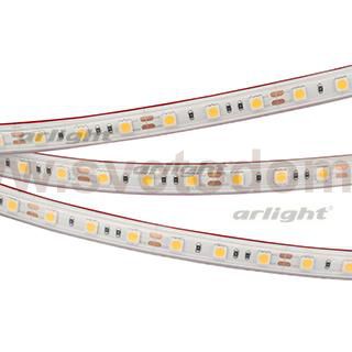 Лента RTW 2-5000PS 12V Cool 8K 2x (5060, 300 LED, LUX) Arlight 21401
