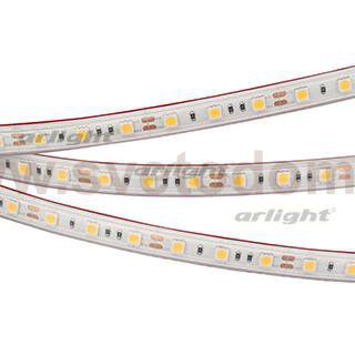 Лента RTW 2-5000PS 12V Cool 8K 2x (5060, 300 LED, LUX) Arlight 21401