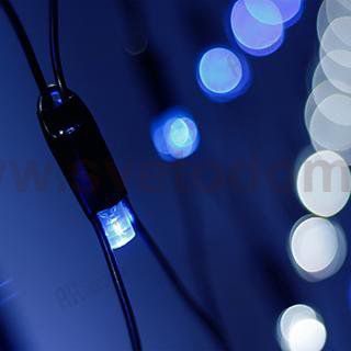 Светодиодная гирлянда ARD-NETLIGHT-CLASSIC-2000x1500-BLACK-288LED White/Blue (230V, 18W) Arlight 24689