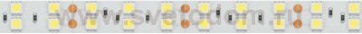 Лента RT 2-5000 24V White6000 2x2 (5060, 600 LED, LUX) Arlight 11256