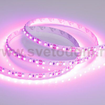 Лента RT 2-5000 12V Pink 2X (3528, 600 LED, LUX) Arlight 15897
