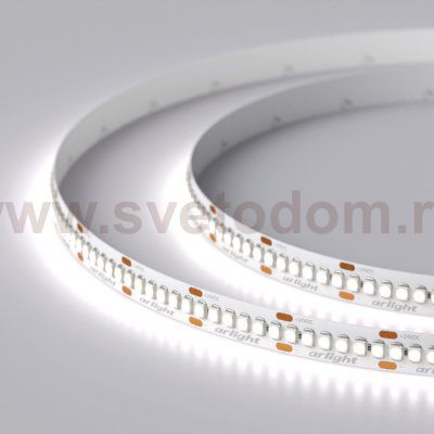 Лента RT6-3528-240 24V White6000 4x (1200 LED) Arlight 17430