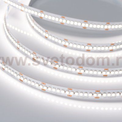 Лента RT6-3528-240 24V Day4000 4x (1200 LED) Arlight 17431