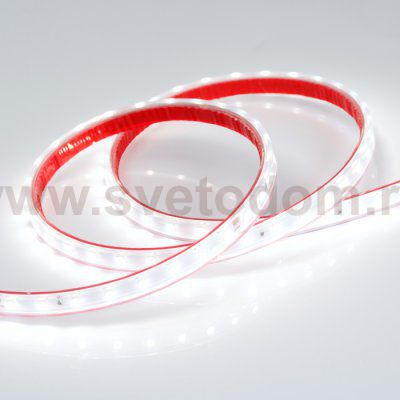 Лента RTW 2-5000PS-50m 24V White6000 (2835, 80 LED/m, LUX) Arlight 24527