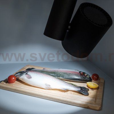 Светильник LGD-SHOP-4TR-R100-40W Cool SP7500-Fish (BK, 24 deg) (Arlight, IP20 Металл, 3 года) Arlight 26291