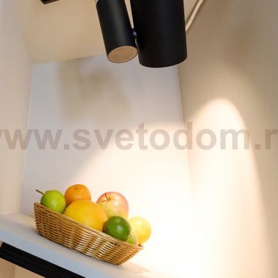 Светильник LGD-SHOP-4TR-R100-40W Warm SP3000-Fruit (BK, 24 deg) (Arlight, IP20 Металл, 3 года) Arlight 26292