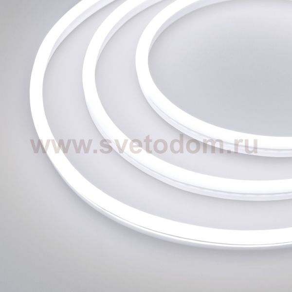 Гибкий неон GALAXY-1608-5000CFS-2835-100 12V White (16x8mm, 12W, IP67) Arlight 29365