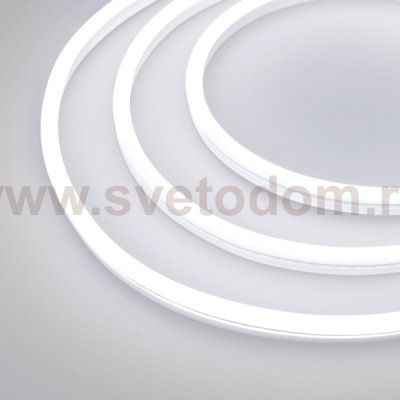 Гибкий неон GALAXY-1608-5000CFS-2835-100 12V White (16x8mm, 12W, IP67) Arlight 29365