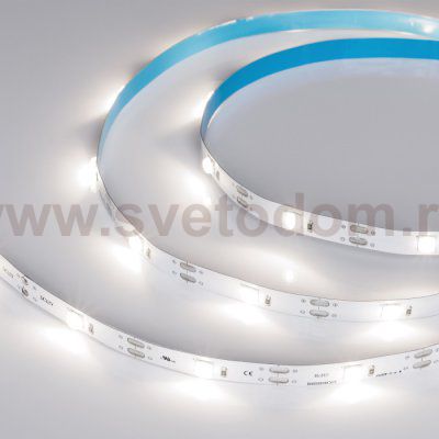 Лента RT-5000-6060LENS-20-12V Day4000 (10mm, 10W/m, IP20) Arlight 30893