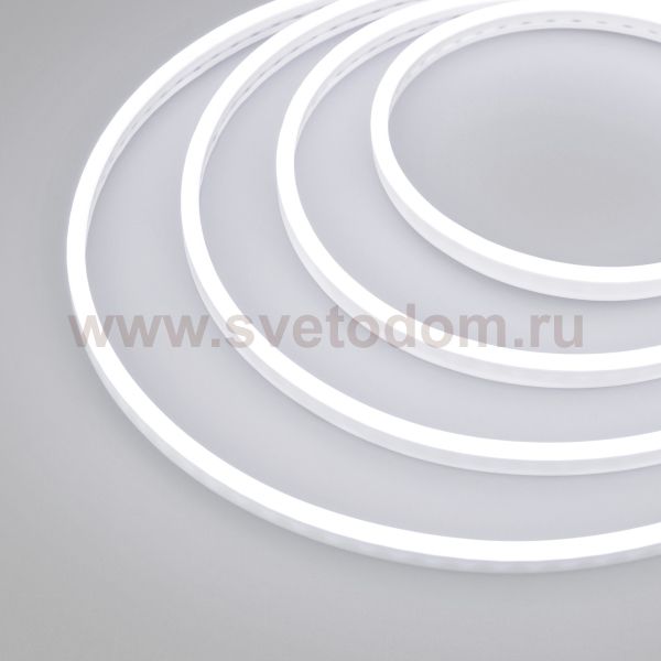 Образец Гибкий неон GALAXY-1206-5000CFS-2835-100 12V White 0.5M (12x6mm, 12W, IP67) Arlight 30967