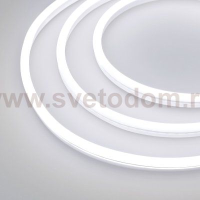 Образец Гибкий неон GALAXY-1608-5000CFS-2835-100 12V White 0.5M (16x8mm, 12W, IP67) Arlight 30978