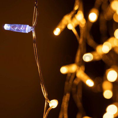 Arlight 31184