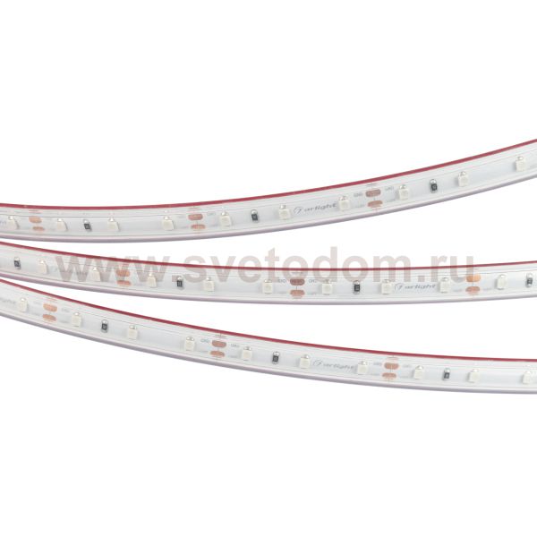 Лента RTW-5000PS-3528-60-12V Blue (11mm, 4.8W, IP67) (Arlight, -) Arlight 32839