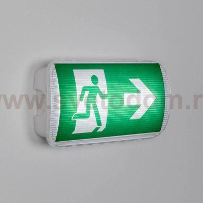 Аварийный светильник EMERGENCY 046151 Arlight