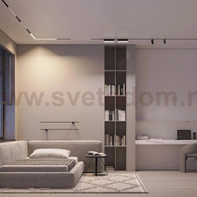 Трековый светильник MAG-ORIENT 047019 Arlight