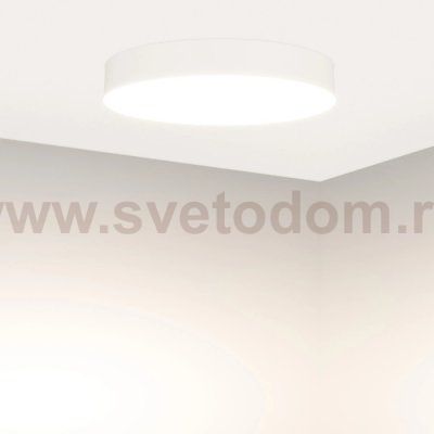 Потолочный светильник SP-FLOWER 049797 Arlight