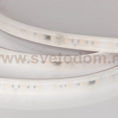 Светодиодная лента DMX герметичная 056721