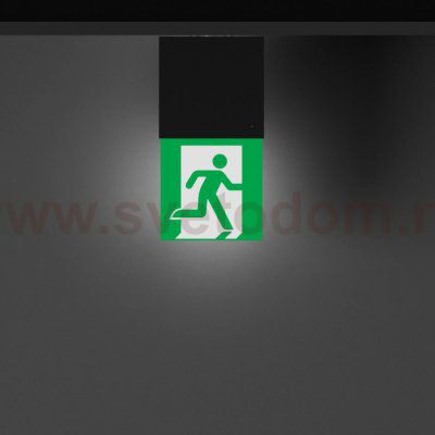 Аварийный светильник EMERGENCY 057966