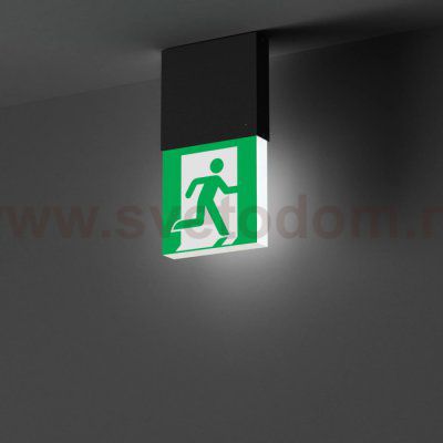 Аварийный светильник EMERGENCY 057966
