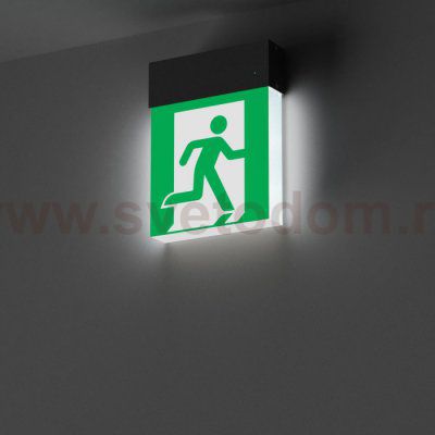 Аварийный светильник EMERGENCY 059801