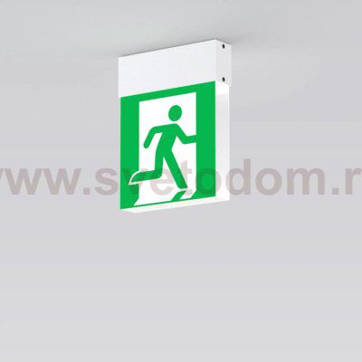 Аварийный светильник EMERGENCY 059803