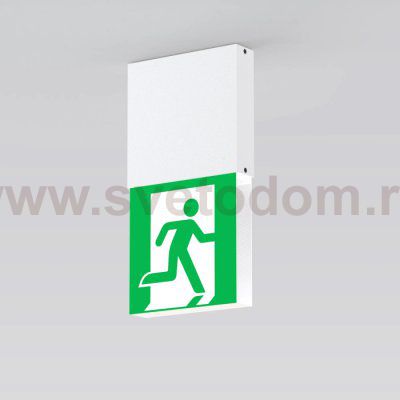 Аварийный светильник EMERGENCY 059804
